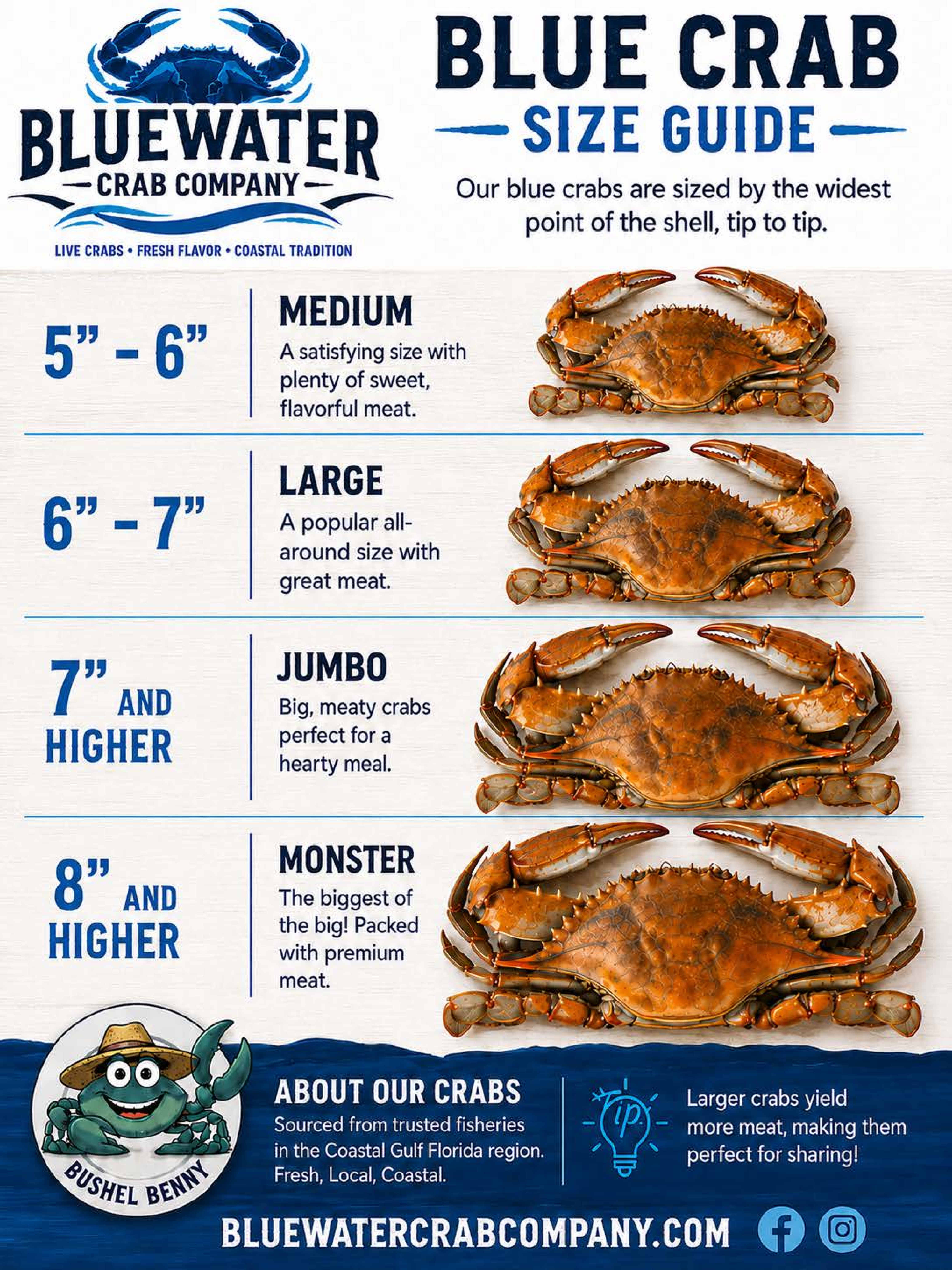 Blue Crab Size Guide showing Medium, Large, Jumbo, and Monster crab sizes
